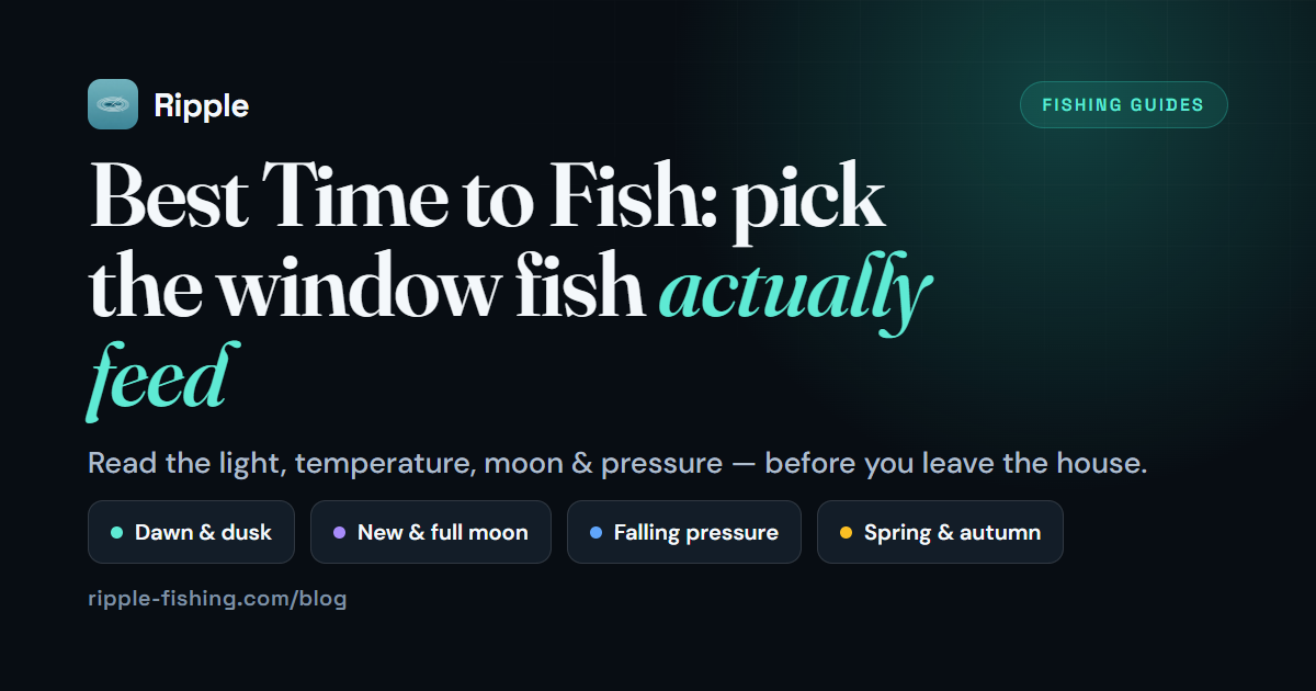 Two Time Fish Best Time to Fish: Day, Season, Moon & Weather Guide | Ripple